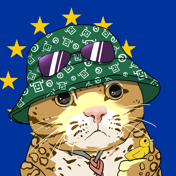 Puzzled cat #7346