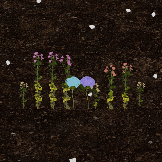 0xbacd's Token Garden