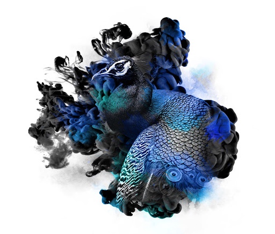 VENOM ICE - PEACOCK