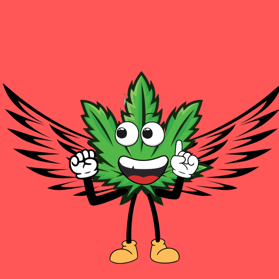 The Weedz #3634