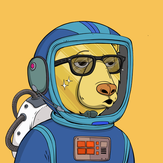 Okay Space Bear #4937