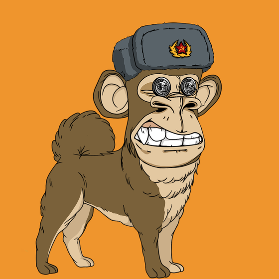 Kennel Ape #1877