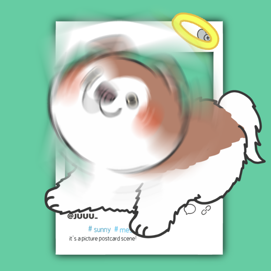 DogDrill#702