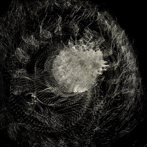 a dream within a dream IV (silver)