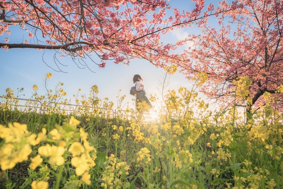 Spring breeze after school