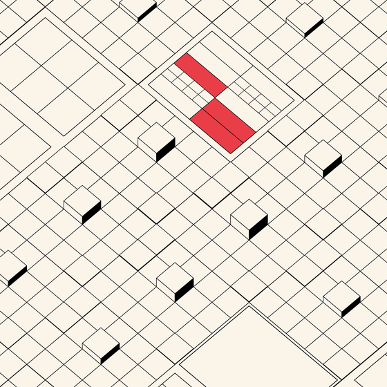 Decagon #17507