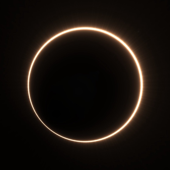 Totality #226