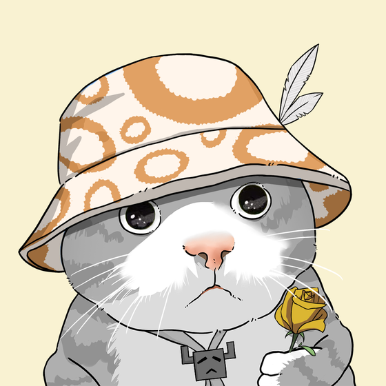 Puzzled cat #4418