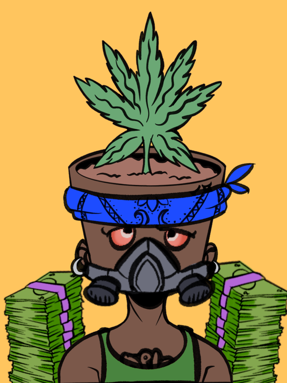 Pot Head #2