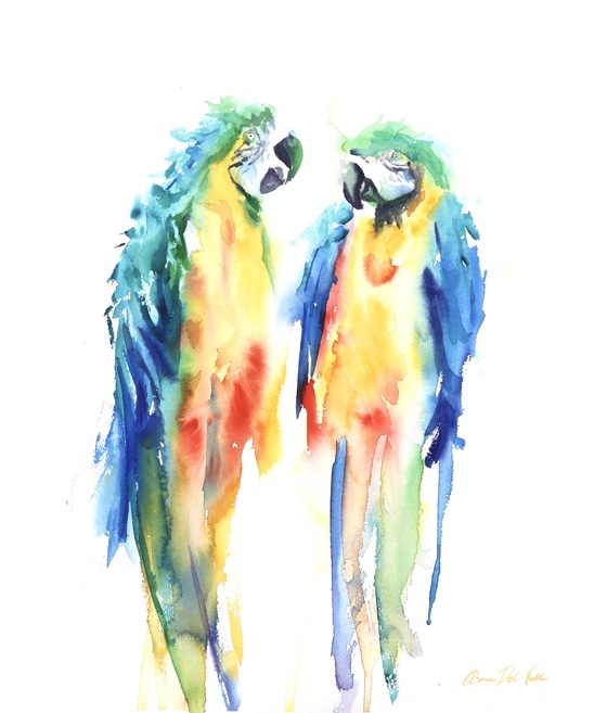 Two Blue and Gold Macaws