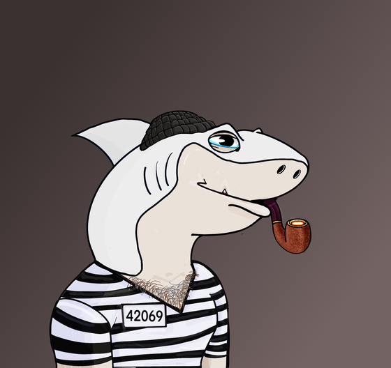 SewerShark #1373