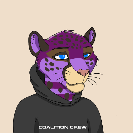 Coalition Crew 2.0 #3509