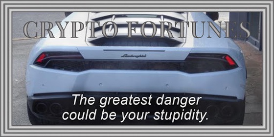 The greatest danger could be your stupidity #6