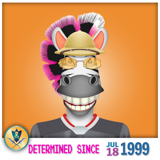 Zebra Birthday #1947