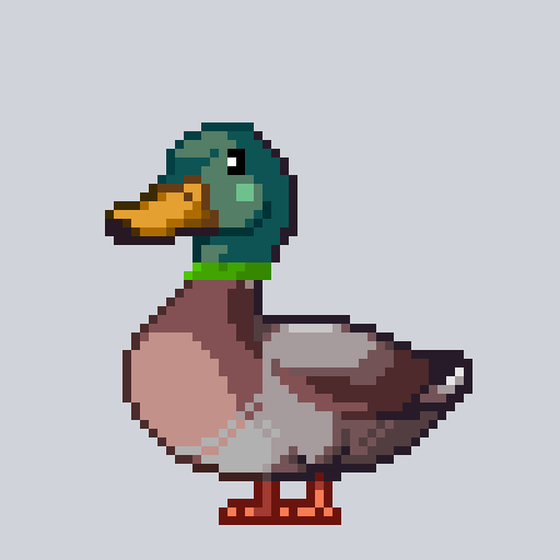 Mallard #6343