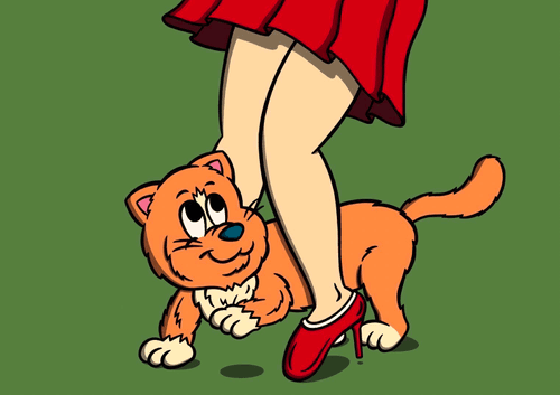 Cat and girl