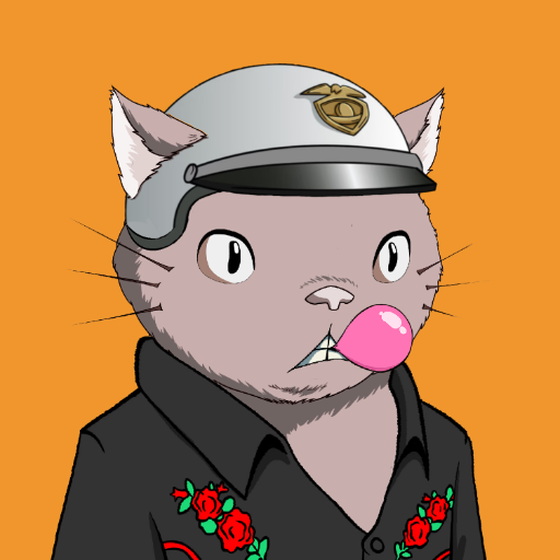 Kitaro Yacht Club #3141