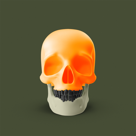 Skull #778