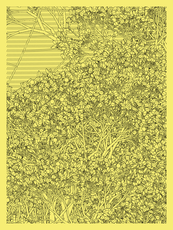 Entangled #389