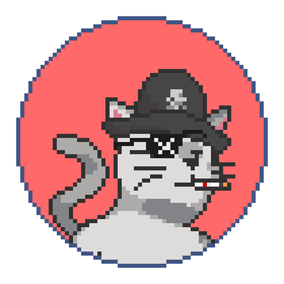 Catcoin #567