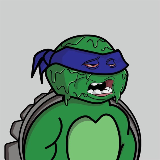 Degen Ninja Turtle #5309