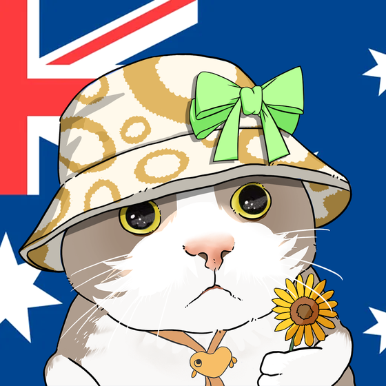 Puzzled cat #9374