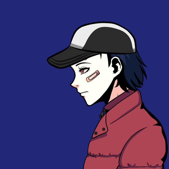 Project Kaito #5084