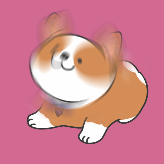 DogDrill#684