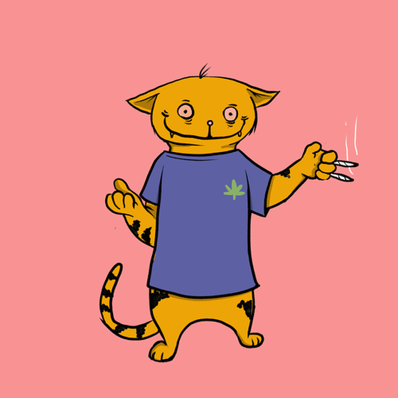 Blazed Cat #982