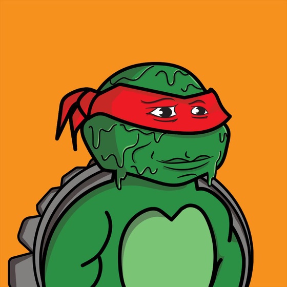 Degen Ninja Turtle #2559