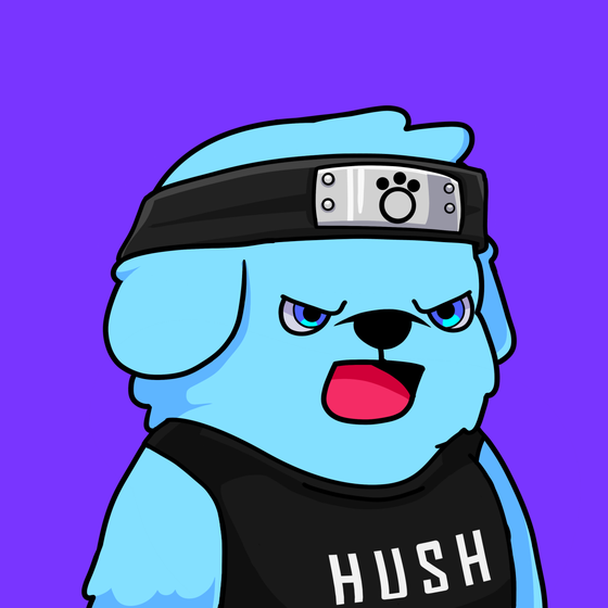 Puppy #1383