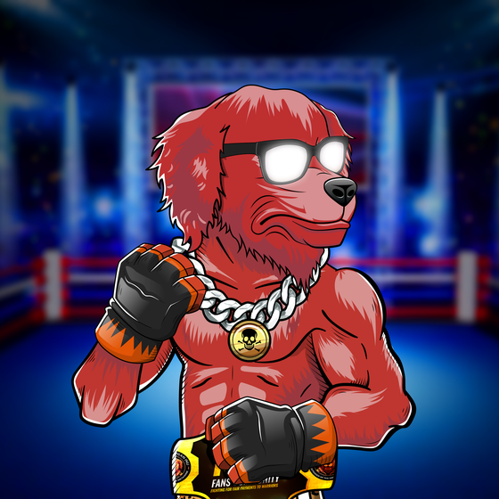 Fighter #1575