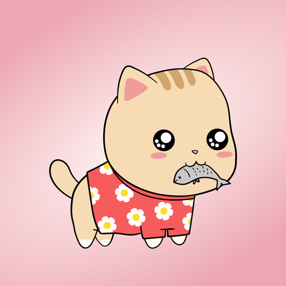 Chubbicat #1564