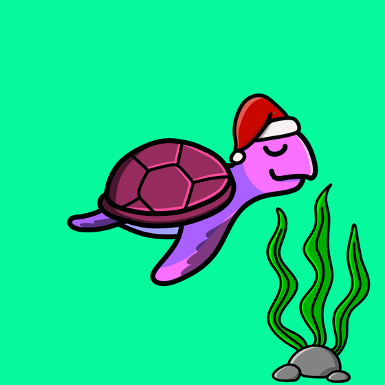 Toddler Turtle #563