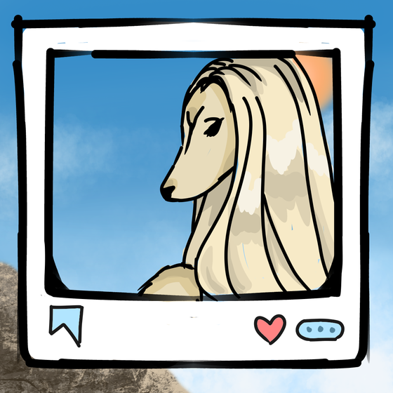 旅する犬 #1099