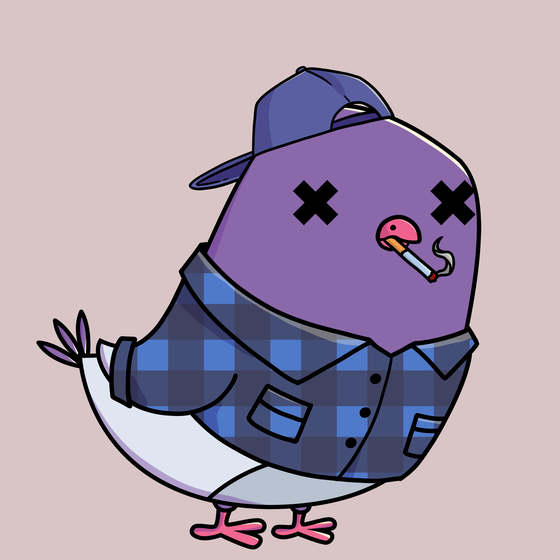 Pigeon #12