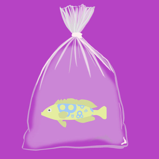 Feesh #2761