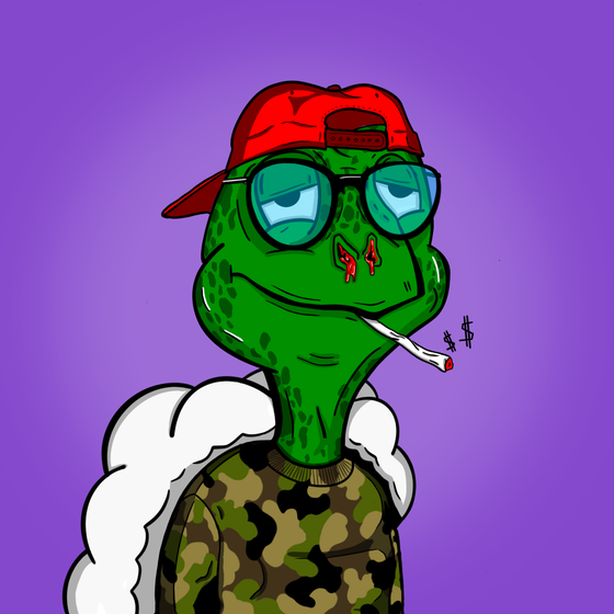 Baked Shellz #8322