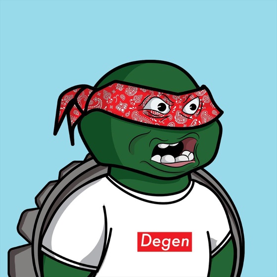 Degen Ninja Turtle #4784