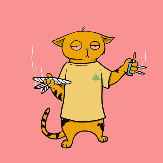 Blazed Cat #119