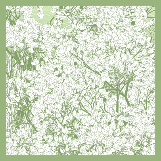 Entangled #179