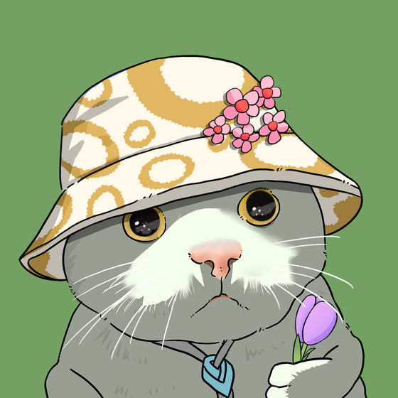 Puzzled cat #153