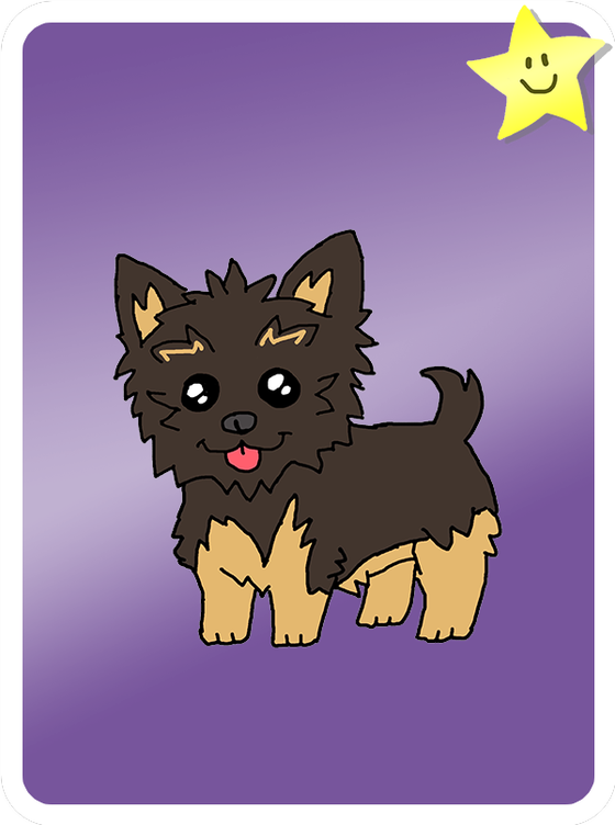 Yappy Yorkshire Terrier