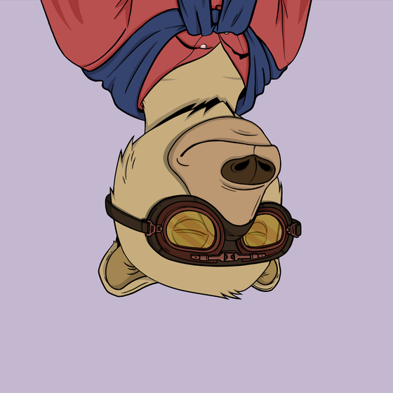NotNotNotOkayBears #398