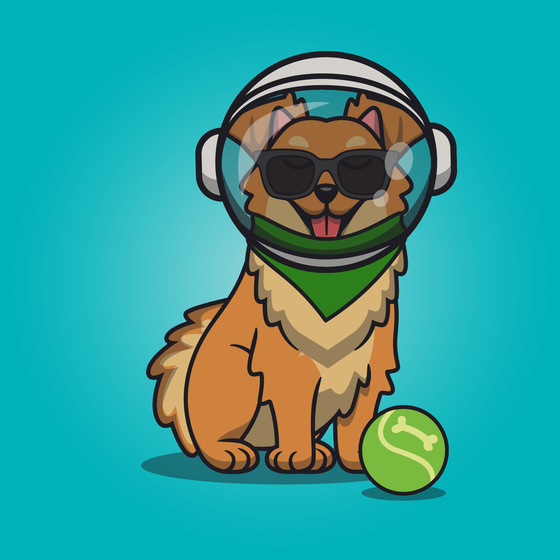 Fetch #17
