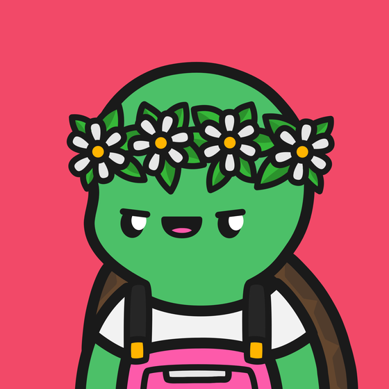 Turtle Town #2485