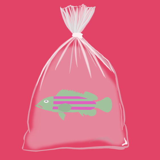 Feesh #1250