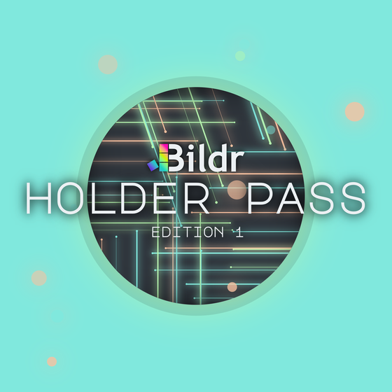 Bildr Holder Pass