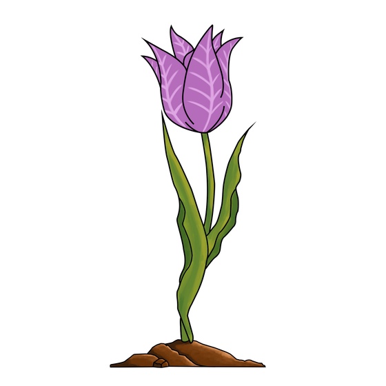 EtherTulip #96