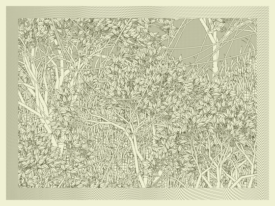 Entangled #372